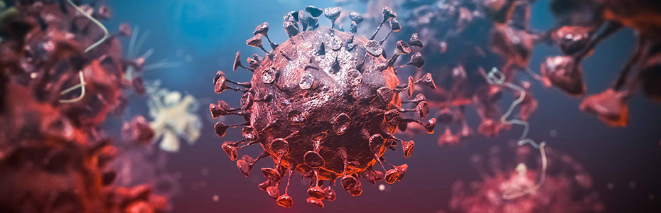 Infekcije i cijepljenje u MS bolesnika