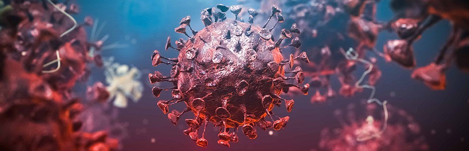Infekcije i cijepljenje u MS bolesnika